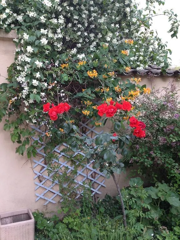 La Petite Maison Dans La Croix Rousse Λυών Σπίτι διακοπών